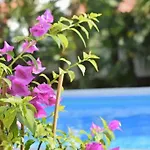 In With Sea View, Balcony, Air Conditioning, Wlan 819-6 Lejlighed *