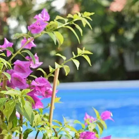 In With Sea View, Balcony, Air Conditioning, Wlan 819-6 Apartment *